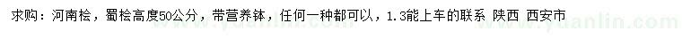 求购高50公分河南桧、蜀桧