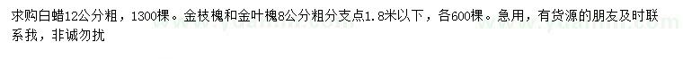 求购白蜡、金枝槐、金叶槐