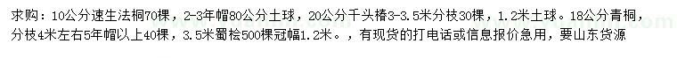 求购速生法桐、千头椿、青桐等