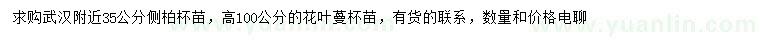 求购高35公分侧柏、100公分花叶蔓