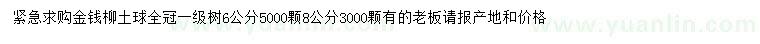 求购6、8公分金钱柳