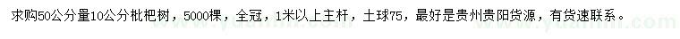 求购50公分量10公分枇杷树