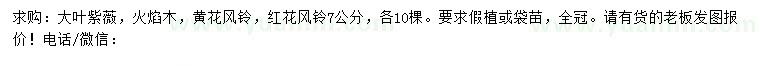 求购大叶紫薇、火焰木、黄花风铃等