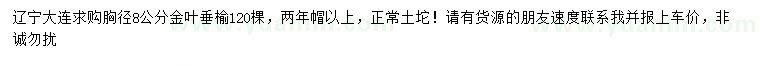 求购胸径8公分金叶垂榆