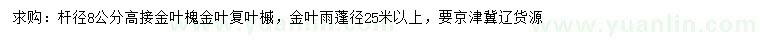 求购高接金叶槐、金叶复叶槭、金叶雨