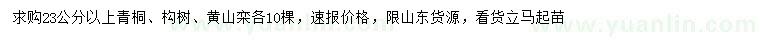 求购青桐、构树、黄山栾树