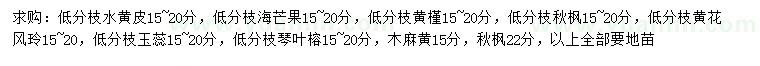 求购水黄皮、海芒果、黄槿等