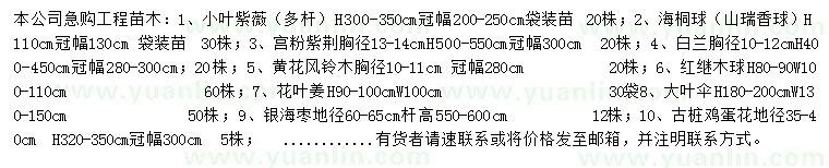 求购小叶紫薇、海桐球、宫粉紫荆等