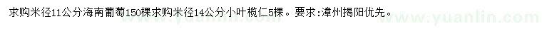 求购米径11公分海南蒲桃、14公分小叶榄仁