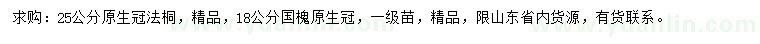 求购25公分法桐、18公分国槐