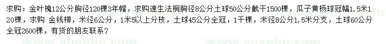 求购金叶槐、速生法桐、瓜子黄杨球等