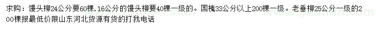 求购馒头柳、国槐、老垂柳