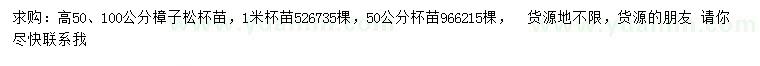 求购高50、100公分樟子松