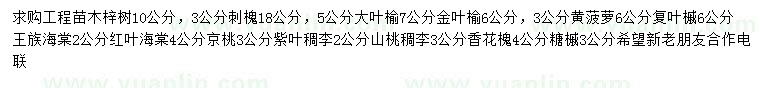 求购梓树、刺槐、大叶榆等