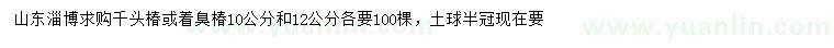 求购10、12公分千头椿、臭椿