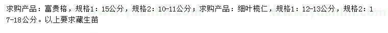 求购10-11、15公分富贵榕、12-13、17-18公分细叶榄仁