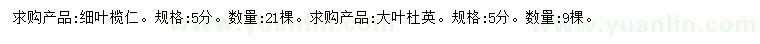 求购5公分细叶榄仁、大叶杜英