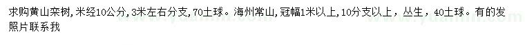 求购米径10公分黄山栾树、冠幅1米以上丛生海州常山