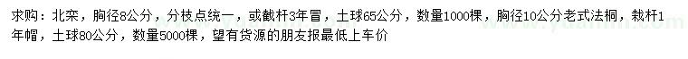 求购胸径8公分北栾、10公分老式法桐