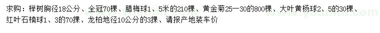 求购榉树、腊梅球、黄金菊等