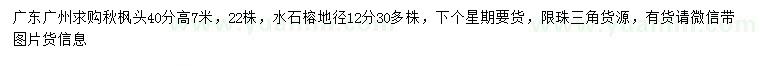 求购40公分秋枫、地径12公分水石榕