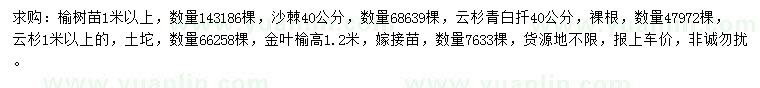 求购榆树苗、沙棘、云杉等