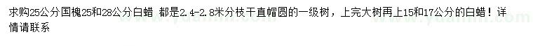 求购25公分国槐、15、17、25、28公分白蜡