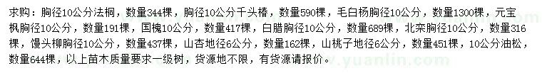 求购法桐、千头椿、毛白杨等