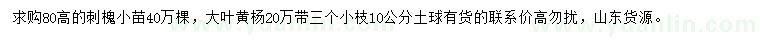 求购高80公分刺槐、大叶黄杨