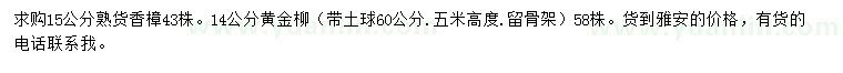 求购15公分香樟、14公分黄金柳