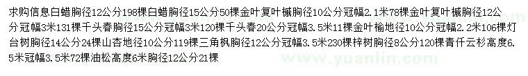 求购白蜡、金叶复叶槭、千头椿等