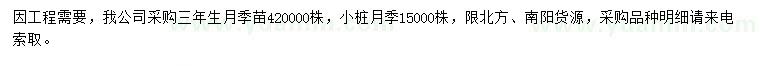 求购月季苗、小桩月季