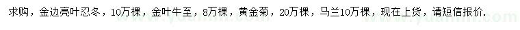 求购金边亮叶忍冬、金叶牛至、黄金菊等