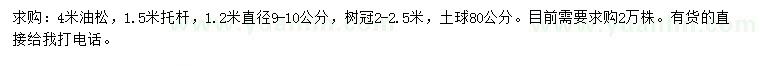 求购1.2米量9-10公分油松