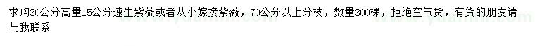 求购30量15公分速生紫薇、嫁接紫薇