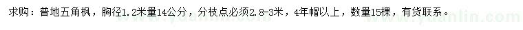 求购胸径1.2米量14公分五角枫