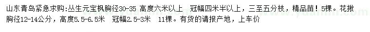 求购胸径30-35公分丛生元宝枫、12-14公分花楸