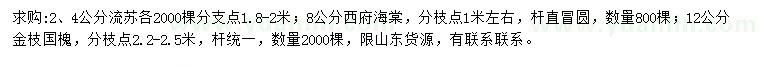 求购流苏、西府海棠、金枝国槐