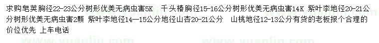 求购皂荚、千头椿、紫叶李等