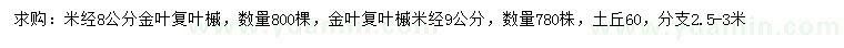 求购米径8、9公分金叶复叶槭