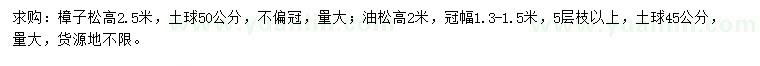 求购高2.5米樟子松、2米油松