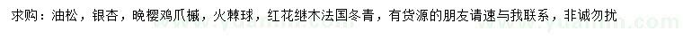 求购油松、银杏、晚樱等