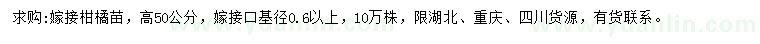 求购高50公分嫁接柑橘苗