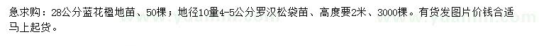 求购28公分蓝花楹、地径10量4-5公分罗汉松苗