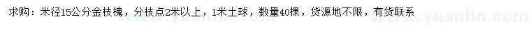 求购米径15公分金枝槐