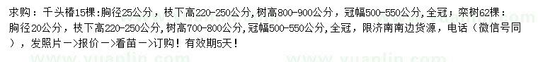 求购胸径25公分千头椿、20公分栾树