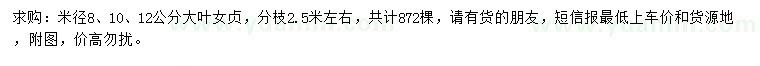 求购米径8、10、12公分大叶女贞