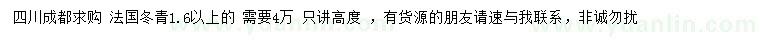 求购1.6米以上法国冬青