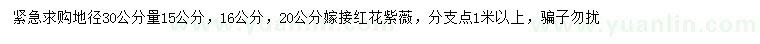 求购30量15、16、20公分嫁接红花紫薇