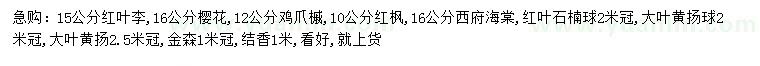 求购红叶李、樱花、鸡爪槭等